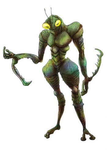 kamakiri_chameleon_sketch800-